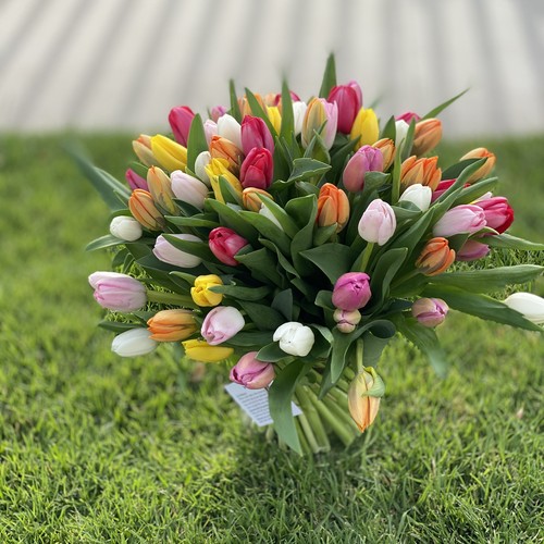 Colorful mixed tulip bouquet on green lawn for flower delivery Raleigh